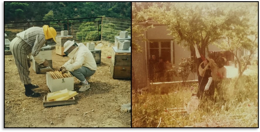 Anastasia and Eleftherios Pantelakis, the children of Emmanuel, engaging in beekeeping with their father. The name ANEL comes from the initial two letters of their names.